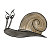 Skeptical snail