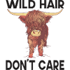 Highlands écossais Highlands Cow