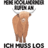 Highlands écossais Highlands Cow