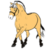Fjord Horse Pony