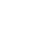 Drôle d’anatomie Chat Humérus