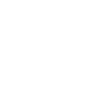 Dream team Authentic