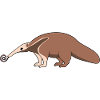 Anteater