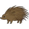 Porc-épic