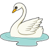 Swan