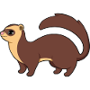 Ferret