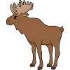 elk