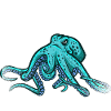 Octopus Octopus Marine Animal
