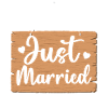 Just Married Shield