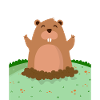 Marmot