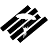 Paragliding