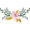 Blume