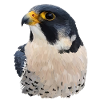 Faucon pèlerin