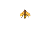 beekeeper