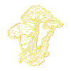 LSD Party Drogues Champignons Acid