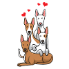Podenco Dogs