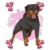 Rottweiler Heart Design