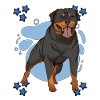 Rottweiler Blue Design