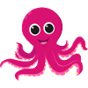 Octopus Octopus Tentacle