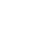 Paraglider