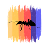 ants