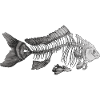 Fish in black and white