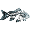 Blue Fish