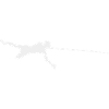 Spearfishing Spearfisher Diving Divers