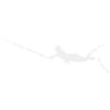 Spearfishing Diving Spearfisher Apnea Divers