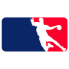 Handball League