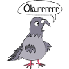 Funny Pigeon Bird Pigeon Breeding