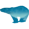 Eisbär Landschaft