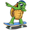 turtle skating sea turtle skateboard
