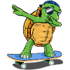 turtle skating testudines skateboard toad
