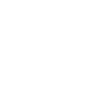 Crazy Bee Lady