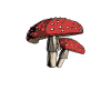 Champignons Cueilleurs de champignons