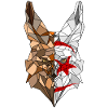 Fennec polygon flag of Algeria