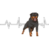 Rottweiler Heartbeat