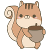 Eichhörnchen