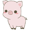 Sweet pig