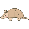 armadillo