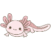Axolotl