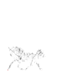 Drôle de cheval cavalière