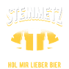 Steinmetz