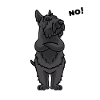 Stuer Scottish Terrier Chien