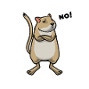 Mongolian racing rat gerbil Gerbil