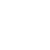 Gruselige Spinne mit coolem Spinnennetz