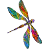 Libellule