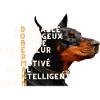 Dobermann qualités - idée cadeau