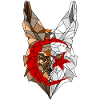 Fennec and flag of Algeria in polysphere 2